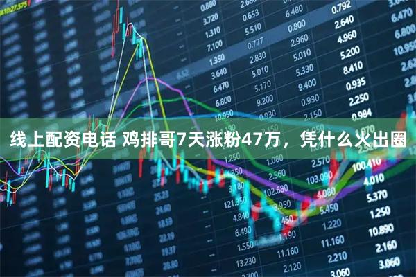 线上配资电话 鸡排哥7天涨粉47万，凭什么火出圈